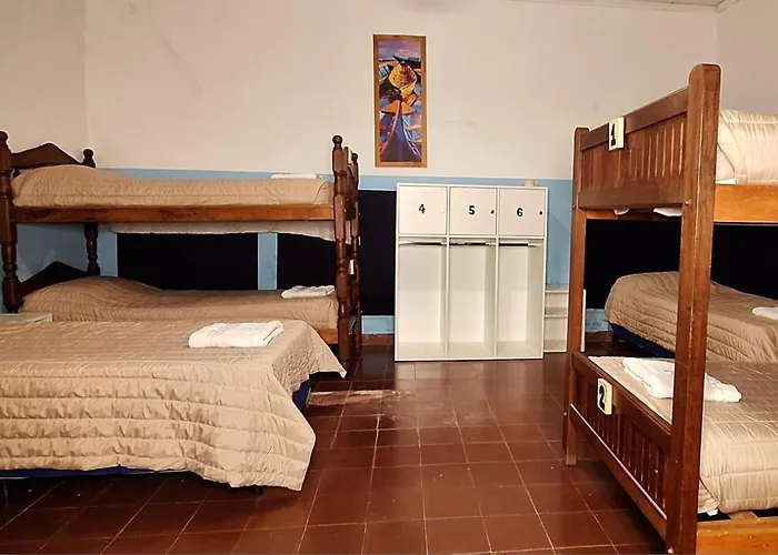 Alpha House Hostel