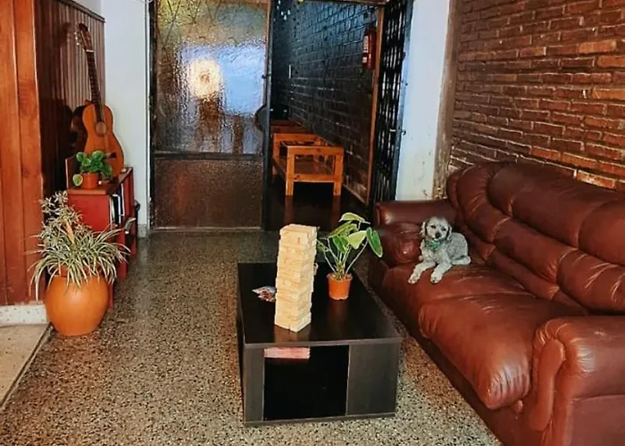 Alpha House Hostel