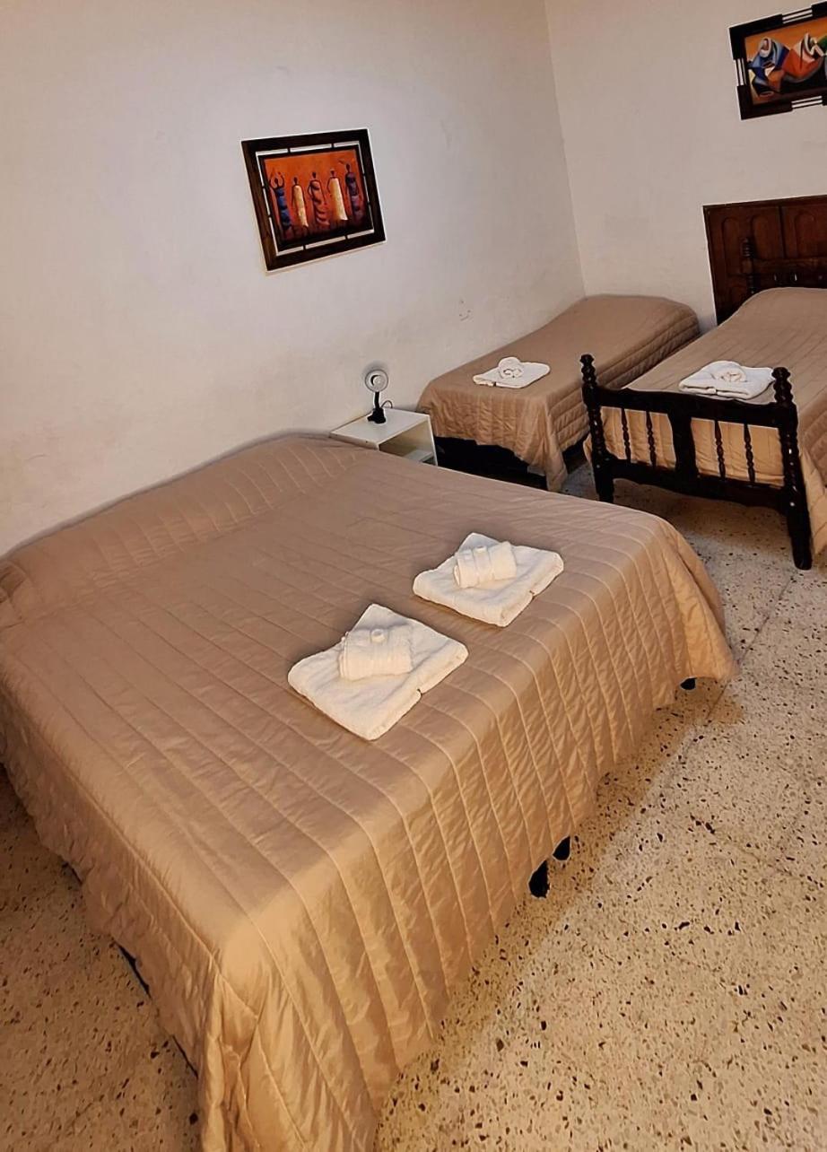 Alpha House Homestay