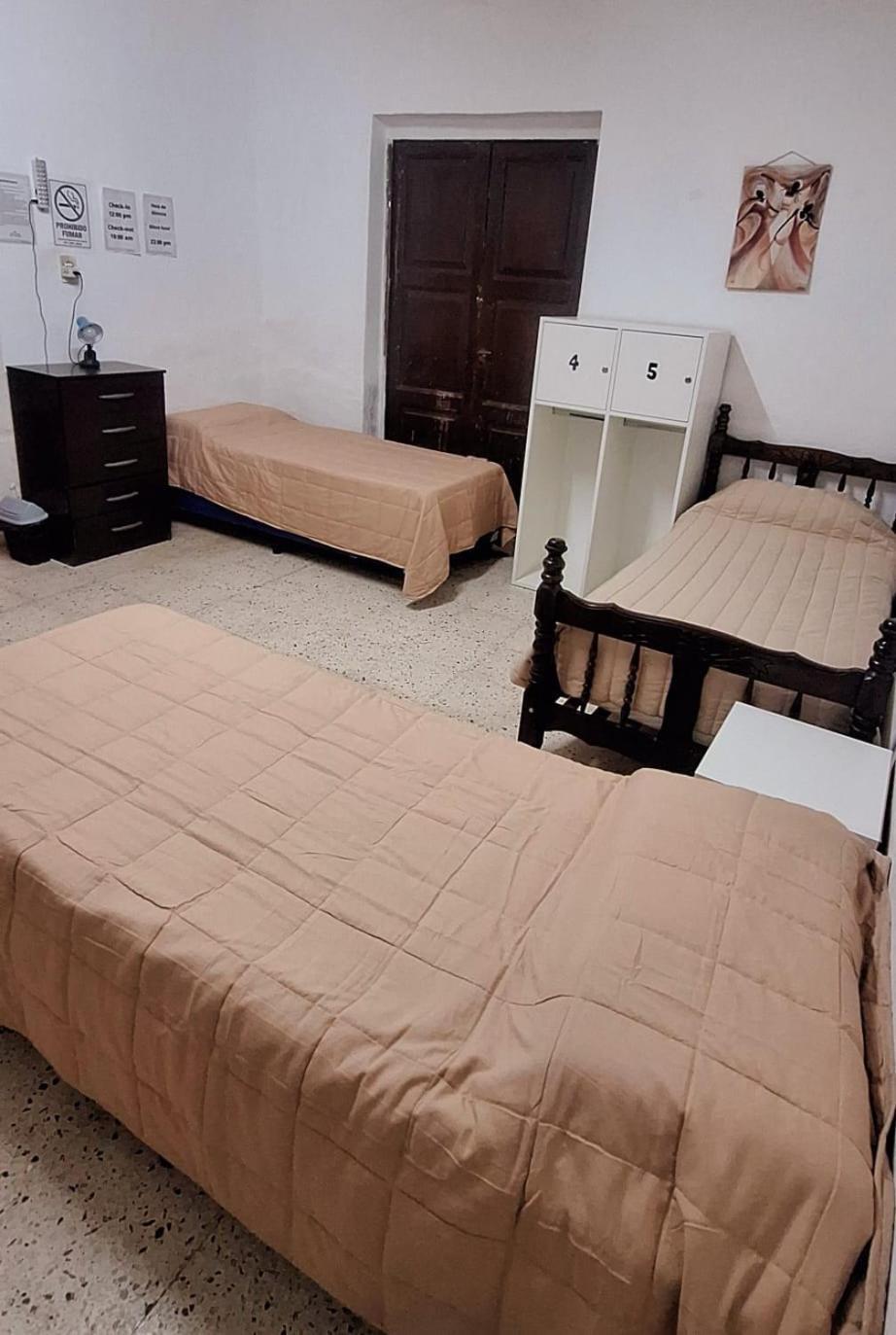Homestay Alpha House